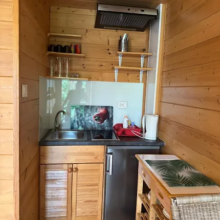 Skandynawski * סרבינובו